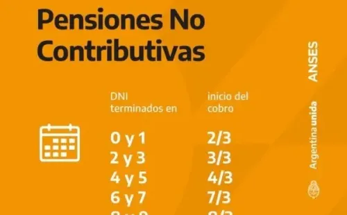 Pensiones No Contributivas.