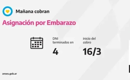 Asignación por Embarazo