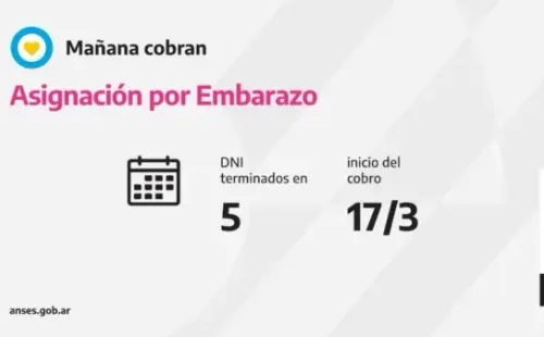 Asignación por Embarazo.