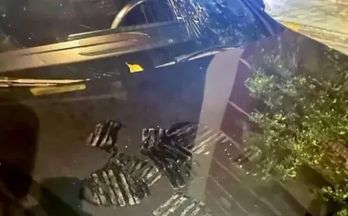 Foto: Germán García Grova