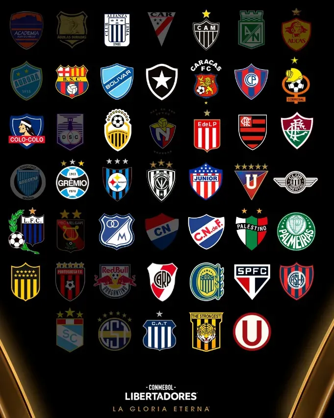 Todos los clasificados a la CONMEBOL Libertadores 2024.