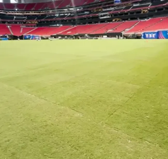 Así está el césped del Merceds Benz Stadium a 48 horas del partido de Argentina vs. Canadá.