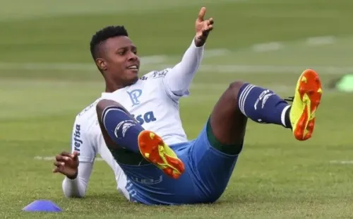 Imagem: Cesar Greco/Ag. Palmeiras/Divulgação