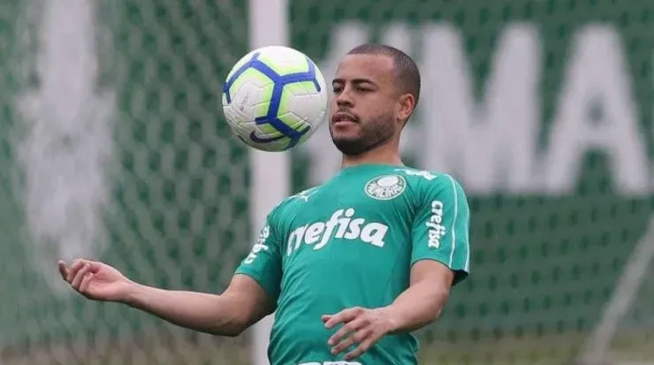 Mayke: lesão rara (Foto: Divulgação/Palmeiras)