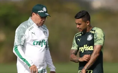 Foto: Palmeiras/Divulgação