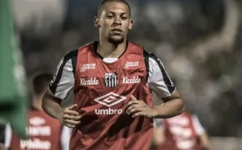 Foto: Ivan Storti/Santos FC)