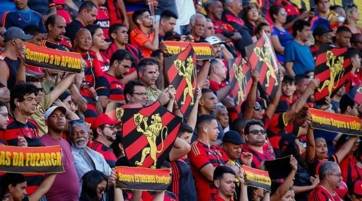 Torcida do Leão já errecadou mais de R$ 113 mil para ajudar o Sport. Foto: Divulgação/Twitter