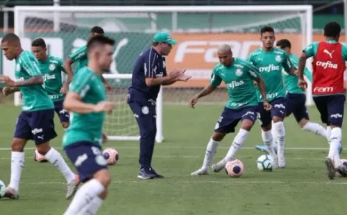 Cesar Greco/Palmeiras