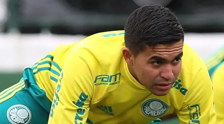 Dudu foi acusado de agressão pela sua ex-mulher. Foto: César Greco/Agência Palmeiras