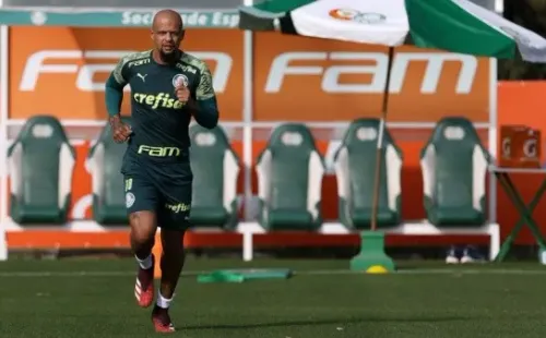 Foto: Cesar Greco/S.E. Palmeiras