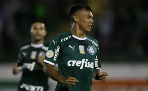 Cesar Greco/Palmeiras