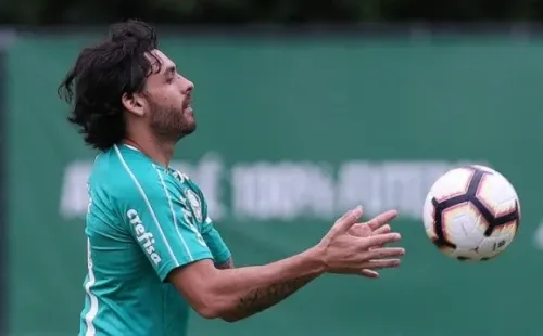 Cesar Greco/Palmeiras