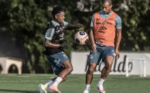 Foto: Ivan Storti/Santos FC