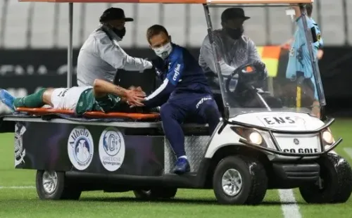 Cesar Greco/Palmeiras