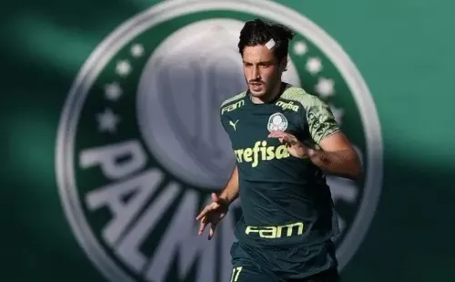 Cesar Greco/Palmeiras