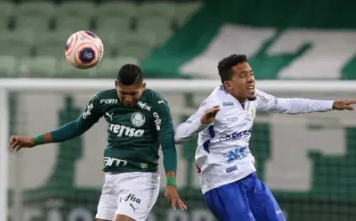 Cesar Greco/Palmeiras