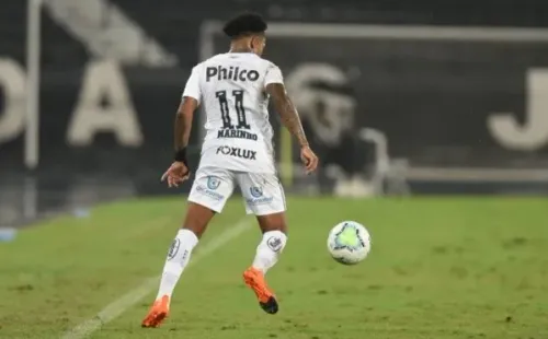 Foto: Ivan Storti/Santos FC