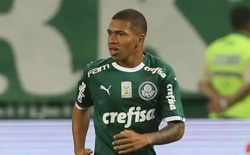 Crédito: Divulgação/Palmeiras