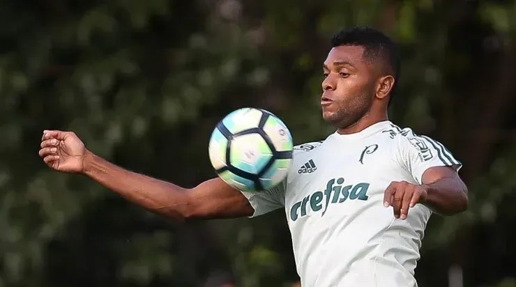 Foto: Divulgação/Palmeiras