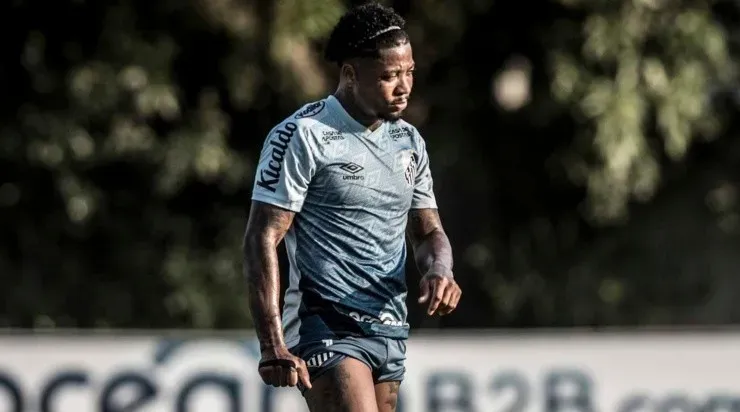 Marinho: baixa nos últimos jogos (Foto: Ivan Storti/Santos FC/Divulgação)