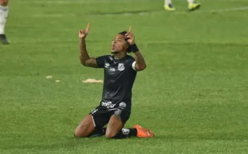 Foto: Ivan Storti/Santos FC