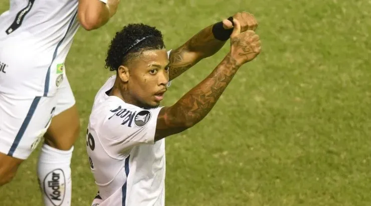 Foto: Ivan Storti/Santos FC