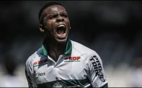 Wellissol deve ser negociado. Divulgação