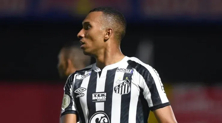 Foto: Ivan Storti/Santos FC