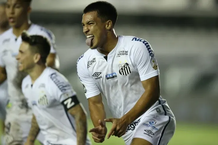 Santos quer a vitória para melhorar na tabela. (Foto: Getty Images)