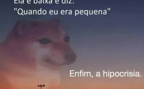 Meme do cachorro 'Enfim, a hipocrisia'. Foto: Reprodução