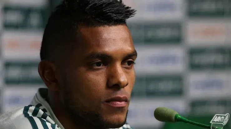 Divulgação/Palmeiras