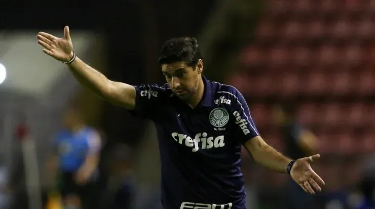 Treinador ressaltou a importância do volante - Foto: Cesar Greco/SEP.