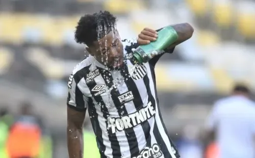 Foto: Ivan Storti/Santos FC