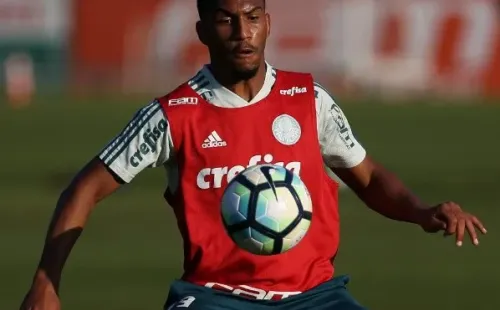 Volante é desejo do Cruzeiro. Divulgação/Palmeiras