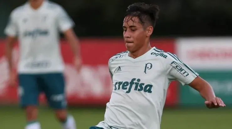 José Aldo deve chegar nos próximos dias a Ilha do Retiro. Foto: César Greco/Palmeiras