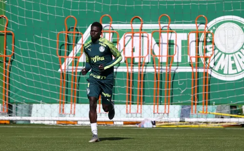 Foto: Cesar Greco/Flickr Oficial Palmeiras