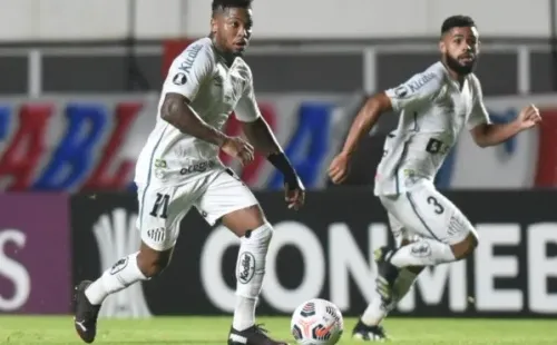 Foto: Ivan Storti/Santos FC