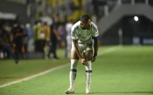 Foto: Ivan Storti/Santos FC