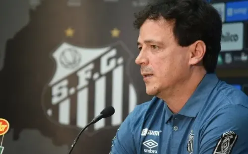 Foto: Ivan Storti/Santos FC