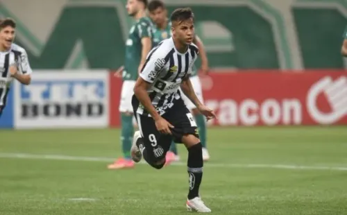 Foto: Ivan Storti/Santos FC