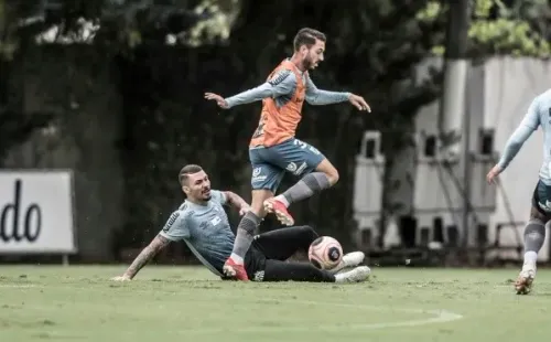 Foto: Ivan Storti/Santos FC