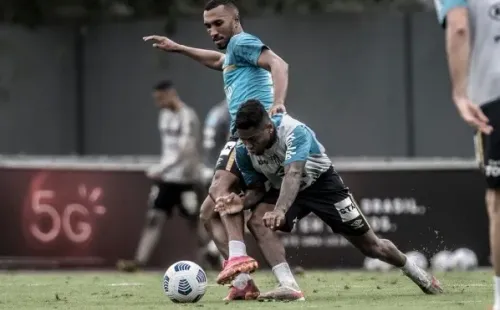 Foto: Ivan Storti/Santos FC