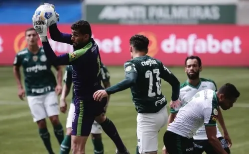 Palmeiras em campo contra o América-MG. (Foto: Ettore Chiereguini/AGIF)