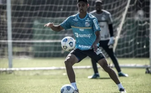 Foto: Ivan Storti/Santos FC