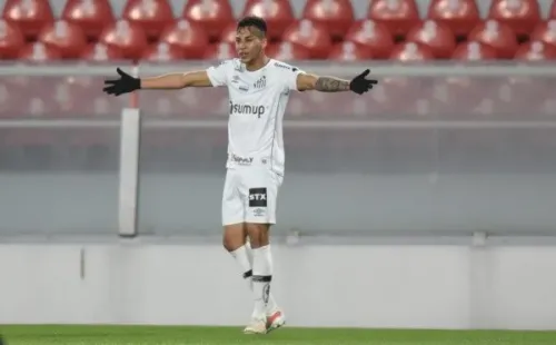 Foto: Ivan Storti/Santos FC