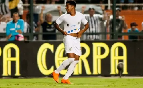 Foto: Ivan Storti/Santos FC