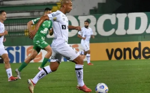 Santos em campo pelo Brasileirão. (Foto: Renato Padilha/AGIF)