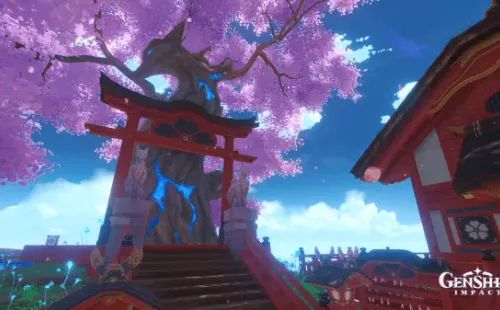 (Reprodução/Salty Nori)