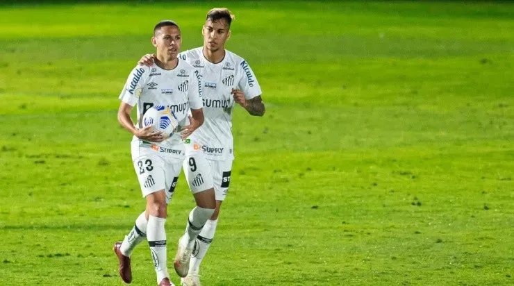 Jogadores do Santos comemoram gol (Foto: Diogo Reis/AGIF)