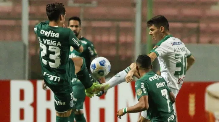 O América-MG venceu o Palmeiras por 2 a 1 (Foto: Fernando Moreno/AGIF)